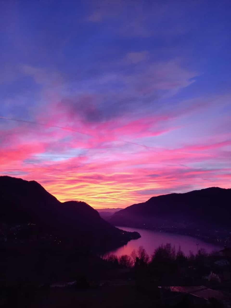 B&B Le Magnolie Faggeto Lario Eksteriør billede